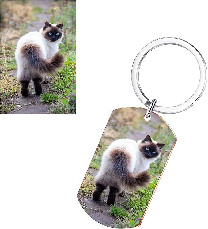 Funnylife Personalized Pet Memorial Keychain for Cats Stainless Steel Custom Pet Photo Memory Keepsake Loss of Cat Sympathy Gifts Cat Pass Away Gifts
