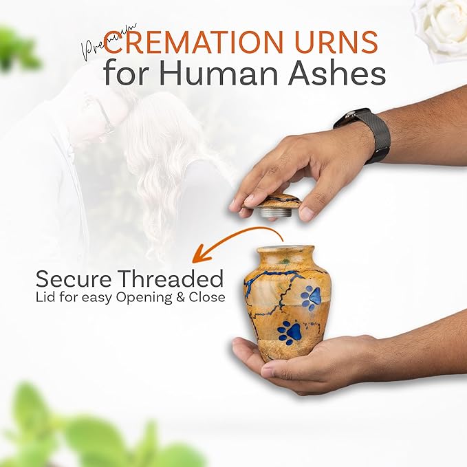 INTAJ Wooden Pet Urns for Dogs/Cats Ashes - Blue Resin Paws & Lichtenburg Design - Keepsake Cremation Urn Box, Pet Memorial Wooden Urns for Ashes, Small to Large Sizes (Classic, Small)