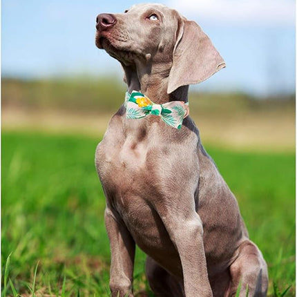 ARING PET Bowtie Dog Collar Adjustable Collars with Bow Tie for Dogs Small Medium Large