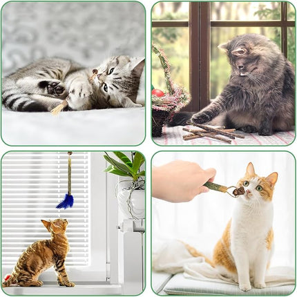 Bissap 12 PCS Silvervine Chew Sticks for Cats, Catnip Chew Sticks Cat Toys for Indoor Cat Kitten Teeth Grinding Interactive Feather Toys for Aggressive Chewers Dental Care