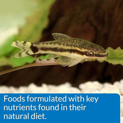 API Bottom Feeder Shrimp Pellet 7.9 Ounce (2 Pack)