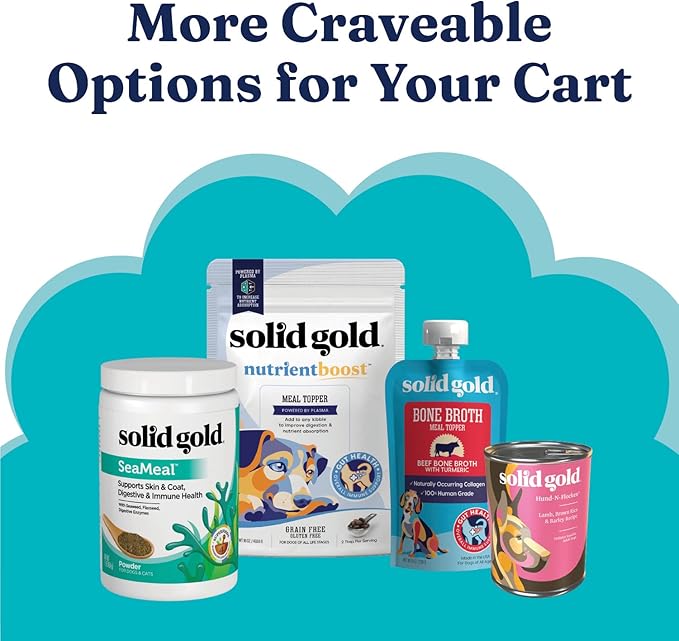 Solid Gold Lamb Dog Food Dry for Adult & Senior Dogs– High Protein Healthy Dog Kibble for Medium & Large Breeds – Whole Grain, Omega 3 & Digestive Probiotics for Gut Health & Everyday Nutrition – 4 LB