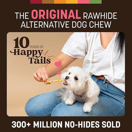 Earth Animal No Hide Stix - Long Lasting Rawhide Free Small Dog Chews Sticks, Salmon - 20 Count Value Pack