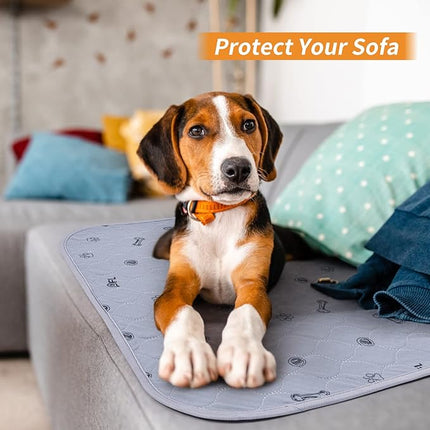 Washable Puppy Pads 2 Pack,Absorbent Washable Pee Pads for Dogs, Reusable Whelping Pads, Non-Slip Pet Mats Floor Protector for Couch Cover, Crate, Potty Training -36x48