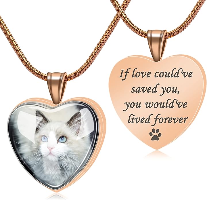 Farfume Personalized Pet Urn Necklace for Dog Cat Ashes Cremation Pet Memorial Customized Photo Text Engraving Pendant Keepsake Funeral Jewelry