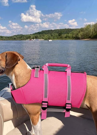 Queenmore XXL Dog Life Jacket, Floating Vest for Boating, Lightweight Adjustable Reflective Lifesaver with Back Zip, Rescue Handle, Leash Hook (Fuchsia XXL)