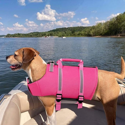 Queenmore Medium Dog Life Jacket,Dog Life Vest for Swimming,Dog Floating Vest for Boating,Pet Puppy Lightweight Adjustable Reflective Lifesaver Vest with Back Zip,Rescue Handle,Leash Hook(Fuchsia M)