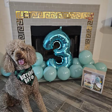 Birthday Boy Dog Bandana Green