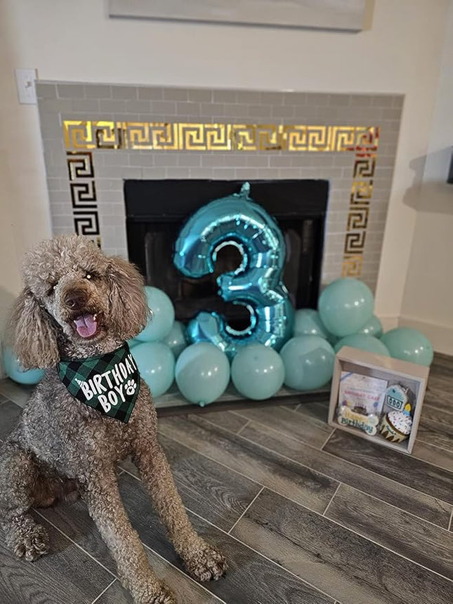 Birthday Boy Dog Bandana Green
