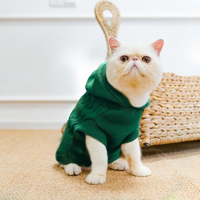PUPTECK Winter Dog Cat Sweater Coat - Soft Cold Weather Clothes Knitwear for Kitties & Small Dogs Indoor Outdoor Walking Warm, Knitted Classic for Doggies Kitties Girls Boys, Green S