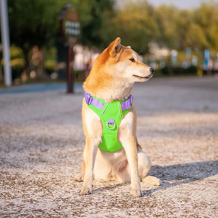 PHOEPET No Pull Dog Harness, Unique Colors Reflective Adjustable Dog Vest, with Soft Training Handle Metal Clips for Small Medium Large Dogs (Green Base & Purple Straps,L)