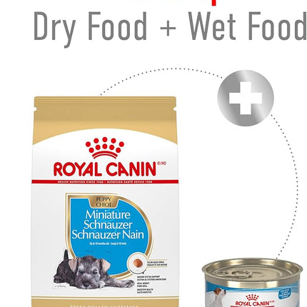 Royal Canin Breed Health Nutrition Miniature Schnauzer Puppy Dry Dog Food, 2.5 lb Bag