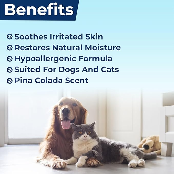 Replenish Aloe and Oatmeal Dog Shampoo - Hypoallergenic Pet Shampoo for Allergies & Sensitive Skin, Medicated Dog Shampoo for Itching Relief & Oatmeal Bath for Dogs Dry Flaky Skin Treatment – 12 Oz