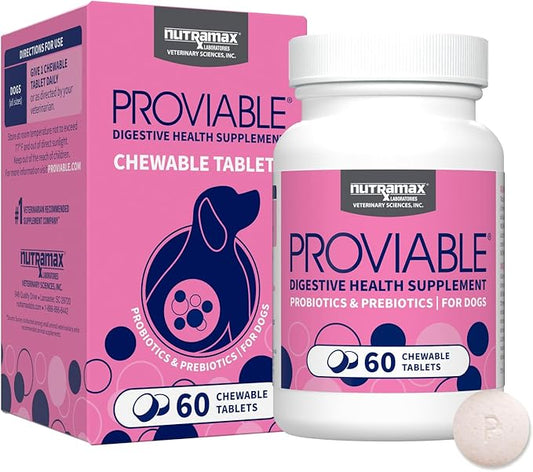 Nutramax Proviable Probiotics for Dogs, Daily Digestive Health Supplement with Multiple Strains of Bacteria, Dog Probiotics Plus Prebiotics, 60 Chewable Tablets