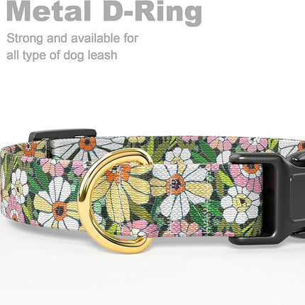 Rnivvi Dog Collar for Small Dogs, Floral Heavy Duty Adjustable Puppy Collar with Quick Release Buckle for Girl & Female, Pet Accessories for Walking Running, XS Length 5/8" Width, Abstract Flowers