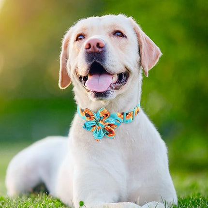 Fancy Floral Boy Dog Collar with Sunflower Bowtie for Small to Large Dogs