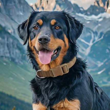 EXCELLENT ELITE SPANKER Tactical Small Puppy Dog Collar Nylon Adjustable Heavy Duty Military for Small Medium and Large Dogs Pet Soft Padded Dog Collar(RGN-L)