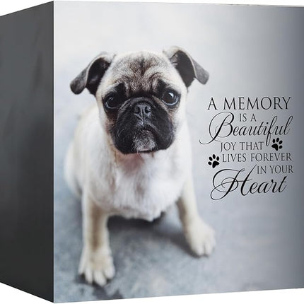 Lifesong Milestones Wooden Shadow Box Cremation Urn for Pet Ashes| Urns for Ashes of Deceased Pet Dog Cat| Sympathy Keepsake 6x6