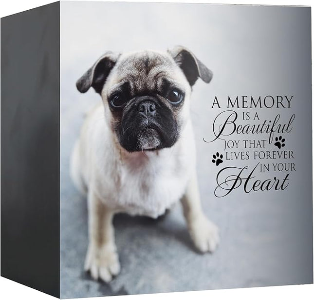 Lifesong Milestones Wooden Shadow Box Cremation Urn for Pet Ashes| Urns for Ashes of Deceased Pet Dog Cat| Sympathy Keepsake 6x6