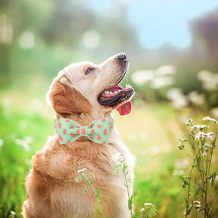 Easter Dog Collar With Bow Tie - Bunny Egg Pattern Bowtie Adjustable Heavy Duty Spring Collar for Small Medium Large Dogs XS