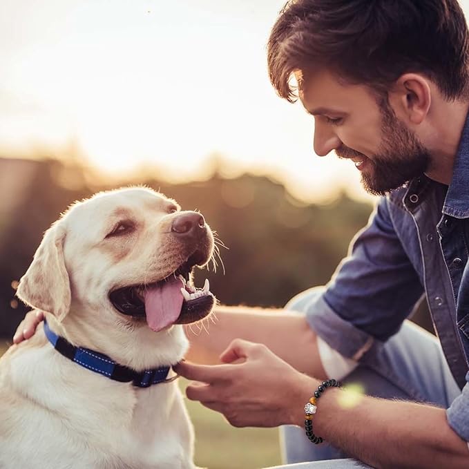 Dog Memorial Gifts - Pet Loss Sympathy Gift, Dog Passing Away Remembrance Bracelet for Men & Women