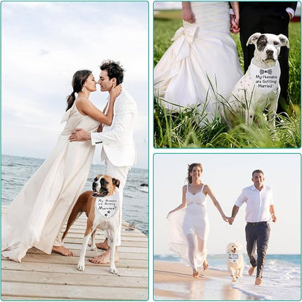 Blank Dog Bandanas Small -1PCS, DIY Solid White Triangle Scarf Premium Cotton Handkerchief or Bib, Personalized Design Birthday/Party Fun Idea Gift for S&XS Pets