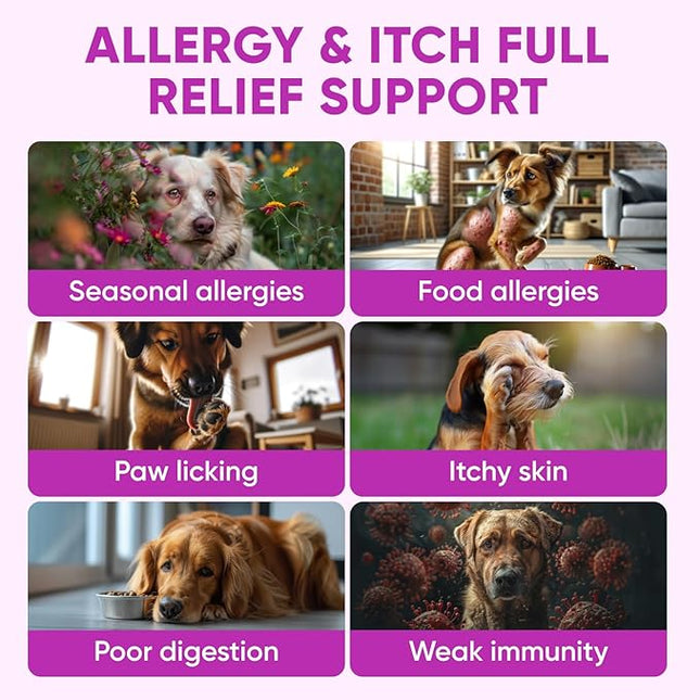 Dog Allergy Relief Chews for Itchy Skin - Seasonal and Food Allergy Chews for Shedding, Licking Paws, Hot Spot, Ears - USA Product - Omega 3 Fish Oil Skin & Coat Supplement - Anti Itch Immune Treats