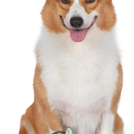 Star Wars for Pets GROGU Cradle Puppy Ring Teether Toy | GROGU Teething Toy for Puppies | Dog Toys, Puppy Teething Toys, Puppy Safe Chew Toys, Dog Chew Toys | Gifts for Star Wars Fans