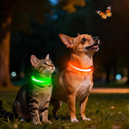 Light up Collar for Small Dog,Vizpet XS Adjustable Size Nylon Collar USB Rechargeable Bright Safety Pet Collar for Cats Small Dogs (Orange, X-Small[ 8.66-11.9 inch/22cm-30cm])
