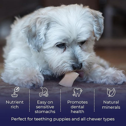 Devil Dog Pet Co. Himalayan Yak Cheese Dog Chews, Small - 4 Pack, 100% Natural & Healthy, Lactose-Free, Long-Lasting Dog Treats, Premium Yak Milk Chew Bones for Dogs