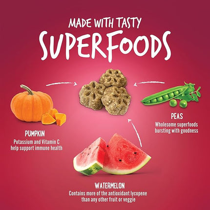 Fruitables Skinny Minis Dog Treats, Healthy Pumpkin Treat for Dogs, Low Calorie & Delicious, Puppy Training, No Wheat, Corn or Soy, Made in the USA, Watermelon Flavor, 5oz