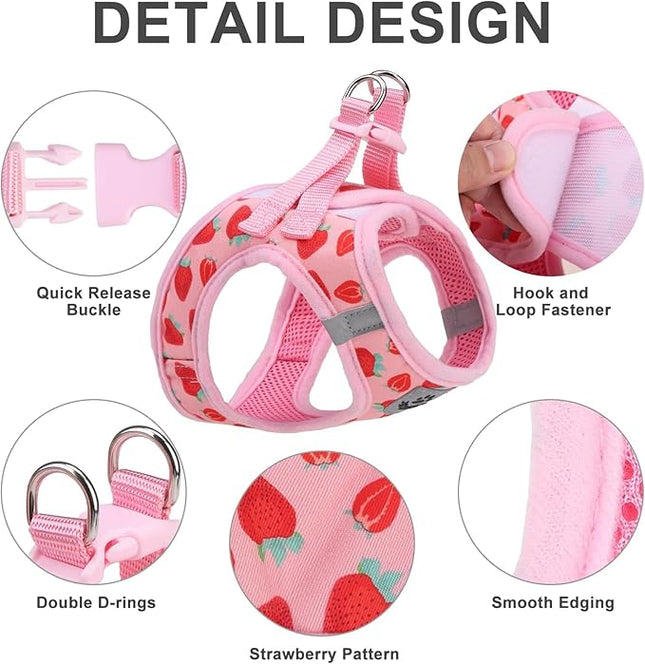 EXPAWLORER Dog Harness and Leash Set - Cute Puppy Harness Leash Dog Collar with AirTag Holder Silicone Case, Soft Padded Step in Pet Vest Reflective for Outdoor Walking, Strawberry L