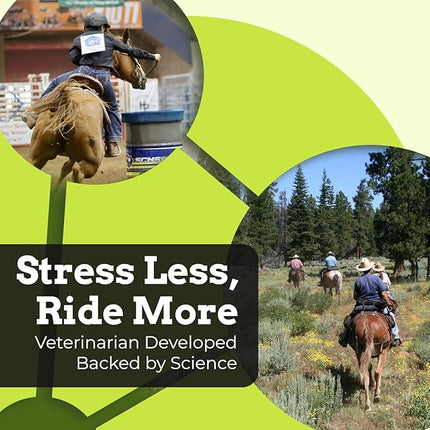 SynChill Oral Horse Supplement Gel, 100% Natural Nutritional Support, Helps Maintain Focus & Composure, Trusted by Equine Professionals, Drug-Free & Made in USA - 3-Pack