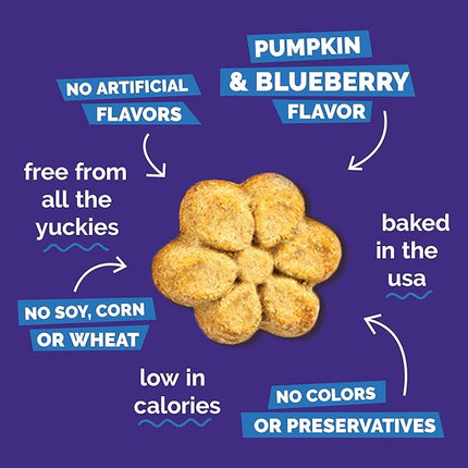 Fruitables Baked Dog Treats, Pumpkin Snacks for Dogs, Low Calorie & Delicious, No Wheat, Corn or Soy, Healthy Puppy Training Treats, Made in The USA, Pumpkin and Blueberry Flavor, 20oz
