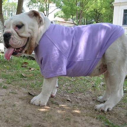 Lovelonglong Bulldog Clothes Dog Clothing Blank T-Shirt Tee Shirts for French Bulldog English Bulldog American Pit Bull Pugs 100% Cotton Skin Care Violet B-S