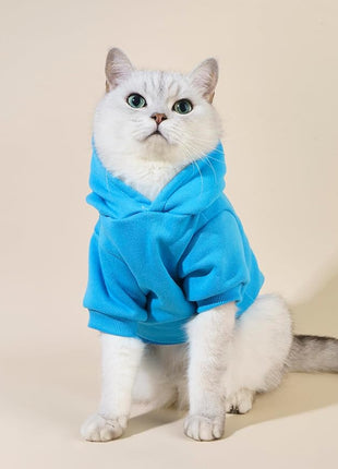 QWINEE Cartoon Bear Print Dog Hoodie Dog Sweatshirt Cat Shirt Apparel Winter Warm Dog Clothes for Puppy Kitten Cat Small Medium Dogs Blue XL