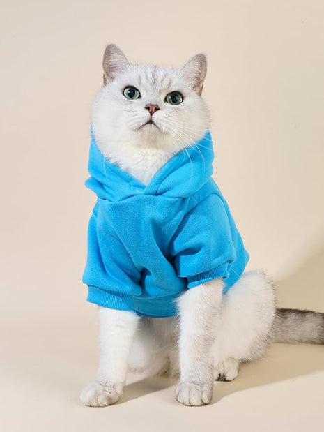 QWINEE Cartoon Bear Print Dog Hoodie Dog Sweatshirt Cat Shirt Apparel Winter Warm Dog Clothes for Puppy Kitten Cat Small Medium Dogs Blue XL