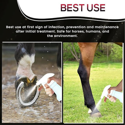 SBS Equine Spray | Hoof Treatment Provides Antiseptic Barrier Against Infection | Fights Hoof iIlness | Long-Lasting (16 Fluid Oz Spray)