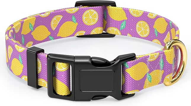 Rnivvi Dog Collar for Large Dogs, Cute Heavy Duty Adjustable Puppy Collar with Quick Release Buckle for Girl & Female, Pet Accessories for Walking Running, L Length 1" Width, Lemon
