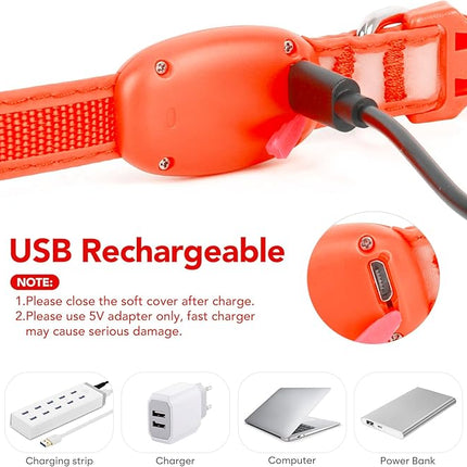 Light up Collar for Small Dog,Vizpet XS Adjustable Size Nylon Collar USB Rechargeable Bright Safety Pet Collar for Cats Small Dogs (Orange, X-Small[ 8.66-11.9 inch/22cm-30cm])