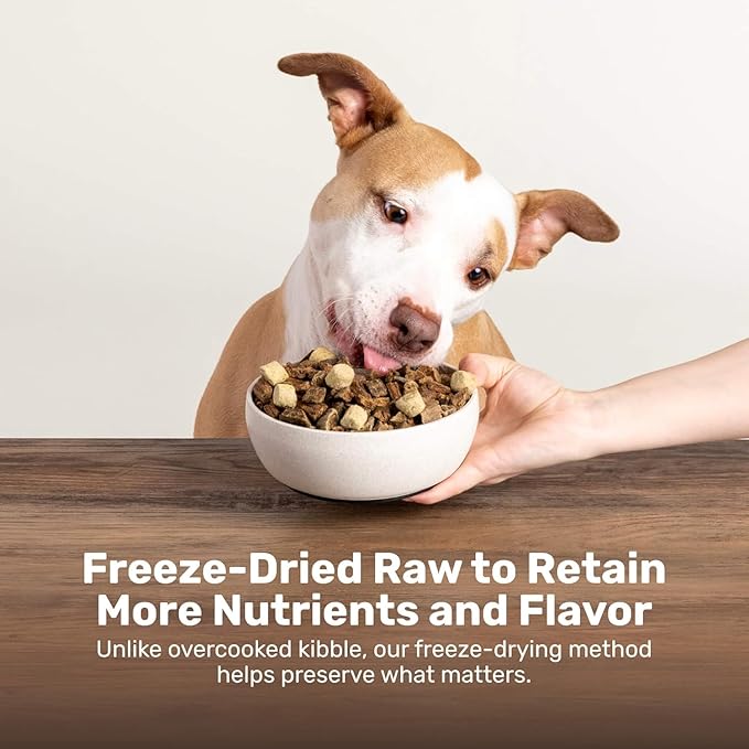 BADLANDS RANCH Superfood Nuggets- Premium, Freeze-Dried raw Dog Food Topper or Treat. Powerful Nutrient-Dense Ingredients. No Artificial additives. Bison and Kale Formula 8oz - 4pk Bundle