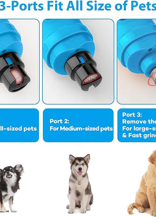 Casfuy Dog Nail Grinder with 2 LED Light - New Version 2-Speed Powerful Electric Pet Nail Trimmer Professional Quiet Painless Paws Grooming & Smoothing for Small Medium Large Dogs(Bright Blue)