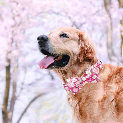 Elegant little tail Dog Collar, Floral Pattern Pet Collars with Bow Girl Cotton Bowtie Collars Spring Puppy Gift Adjustable Pet Collar for X-Small Dogs
