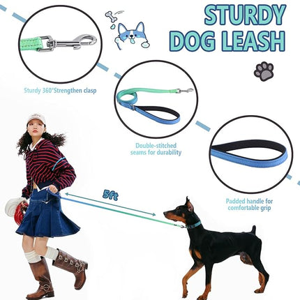 Roses&Poetry Bluegreen Large Dog Collar and Leash Set, Puppy Reflective Leashes with Collars, Adjustable Durable Matching Collar Leash for Large Dogs Girl (Bluegreen-L)