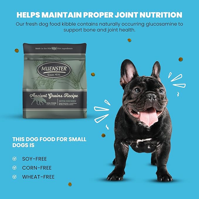 Muenster Ancient Grains Chicken Dry Dog Food, 4lb - Gluten-Free, High Protein, Digestive Support