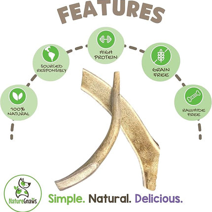 Nature Gnaws Antlers for Dogs (1Lb) - Mix of Elk and Deer Antler - Variety of Split and Whole Pieces - Long Lasting for Aggressive Chewers and Large Dogs (Packing May Vary)