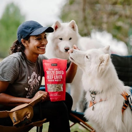 Natural Rapport Beef Liver Dog Treats - The Only Freeze Dried Beef Liver Dogs Need - Grain-Free Beef Bites, Dog Treats for Small and Large Dogs (8 oz.)