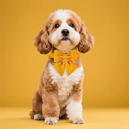 Maca Bates Mango Yellow Dog Collar with Cute Solid Sailor Bow Tie for Small Girl Boy Dogs,Adjustbale Durable Breakaway Soft Collars with Bowtie for Female Male Puppy,Pet with Metal Buckle
