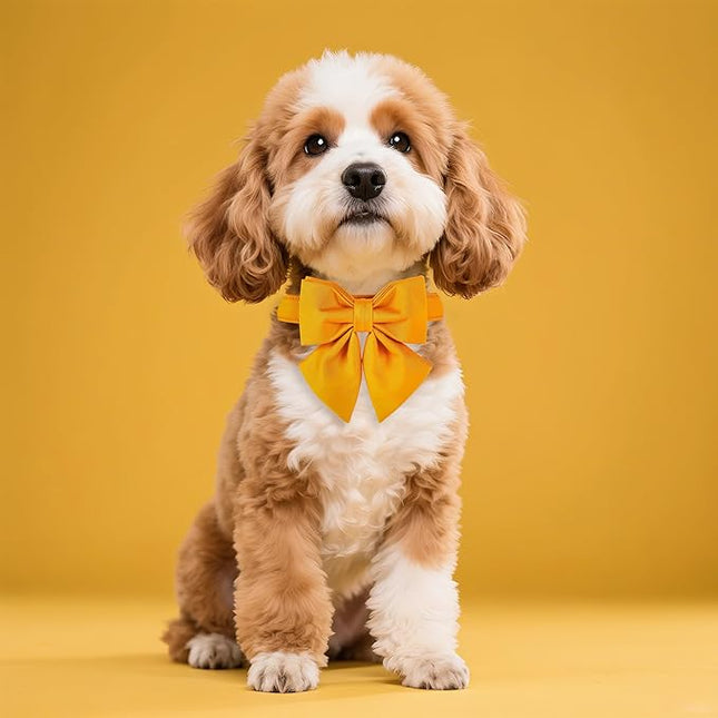 Maca Bates Mango Yellow Dog Collar with Cute Solid Sailor Bow Tie for Extra Small Girl Boy Dogs,Adjustbale Durable Breakaway Soft Collars with Bowtie for Female Male Puppy,Pet with Metal Buckle