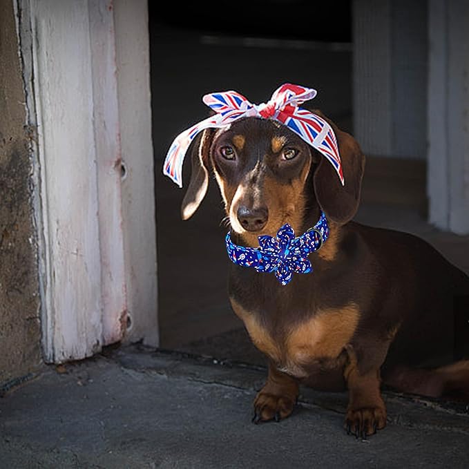 Lionheart glory American Flag Dog Collar 4 of July Dog Collars with Flower Independence Patriotic Dog Flower Collars Heavy Duty Adjustable Collar Flower for Large Dogs Pet Gift